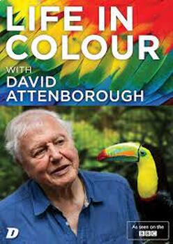 Preview of Question Guide: Life in Color with David Attenborough E2
