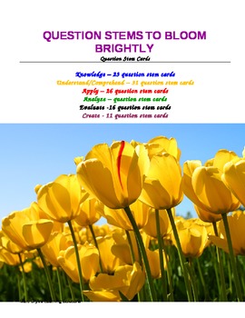 Preview of Question Stems to Bloom Brightly