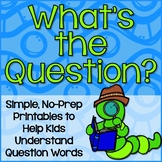 Question Words Practice
