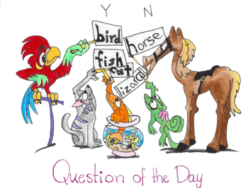 Preview of Question of the Day-Pets