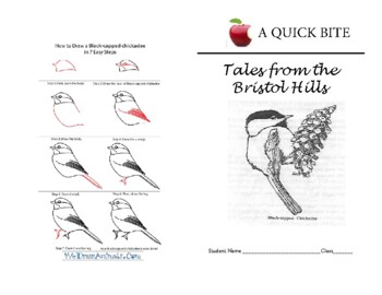 Preview of Quick Bites - Tales from the Bristol hills - The Chickadee
