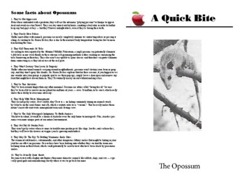 Preview of Quick Bites - The Opossum