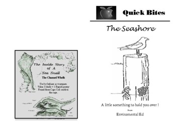 Preview of Quick Bites - What to look for at the Seashore