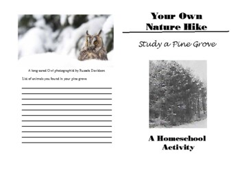 Preview of Quick Bites - Your Own Nature Hike - To study a Pine Grove