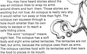 Preview of Animal OCTOPUS Worksheet 4 Multiple Choice Questions Reading Comprehension Skill