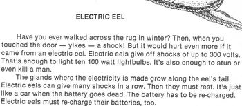 Preview of ELECTRIC EELS Worksheet w/ 4 Multiple Choice Questions Reading Comprehension