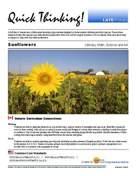 Preview of Quick Thinking - Sunflowers