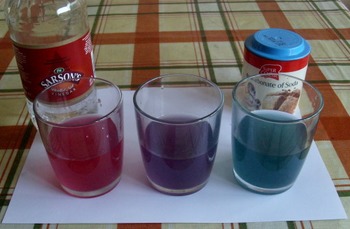 Quick And Easy Cabbage Juice Ph Indicator Lab By Not Your Average Classroom,Quinoa Protein