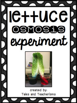 Preview of Quick and Easy Science Experiment: Celery (or lettuce) Osmosis