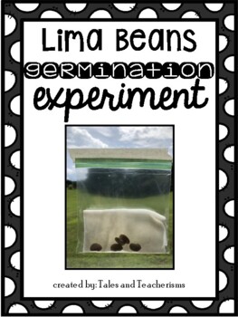 Preview of Quick and Easy Science Experiment: Lima Beans Germination STEM Challenge