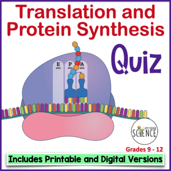 Preview of Translation and Protein Synthesis Quiz