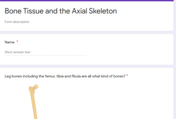 Preview of Quiz - Bone Tissue and The Axial Skeleton