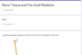 Quiz - Bone Tissue and The Axial Skeleton