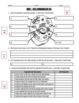 Quiz - Cells and Cell Organelles (2 Quiz Set) by Science With Mr Enns