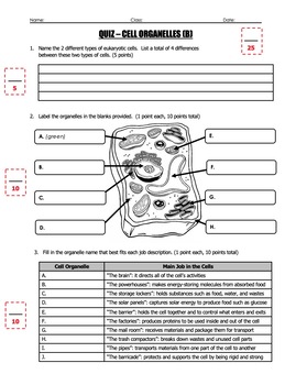 Quiz - Cells and Cell Organelles (2 Quiz Set) by Science With Mr Enns