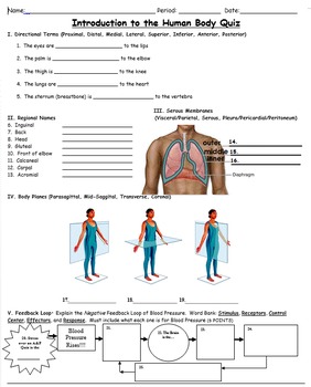 quiz the story of the human body chapter 2
