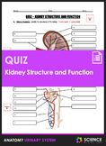 Quiz - Kidney Anatomy - Structure and Function (HS-LS1)
