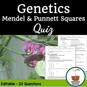Preview of Genetics Quiz: Mendel and Punnett Squares
