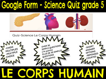 Quiz : le corps humain