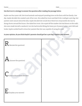 Preview of R.A.C.E Strategy Opinion Writing