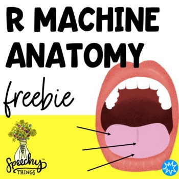 Preview of R Sound Freebie - Anatomy of Tongue and Mouth for Speech Therapy