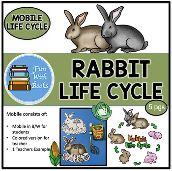Preview of RABBIT LIFE CYCLE MOBILE CRAFT