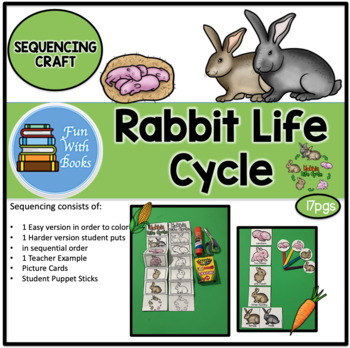 Preview of RABBIT LIFE CYCLE SEQUENCING