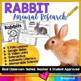 RABBITS / Bunny Animal Research : Spring / Easter Activiti