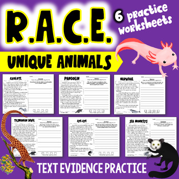 Preview of RACE Strategy Practice - 6 Passages & Questions, Text Evidence Worksheets