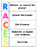 RACES Response Interactive Notebook