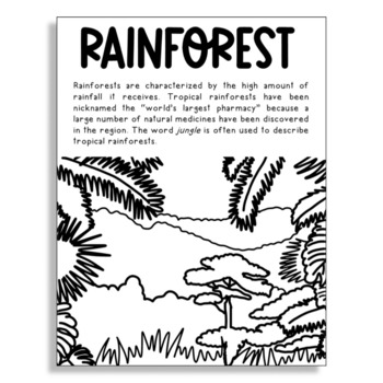 rainforest crafts worksheets  teaching resources  tpt