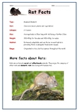 RATS - Non Fiction Activity Booklets