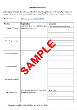 Preview of RBT Prompt Assignment: Types of Prompting Strategies