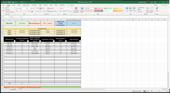 Preview of RBT Supervision Log (Excel spreadsheet)