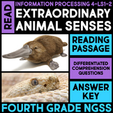 READ - Animals with Extraordinary Senses 4th Grade Science