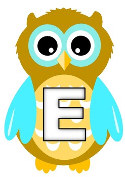 READ - owl display by keryl | Teachers Pay Teachers