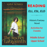 READING Activities for ESL Novel "The Secret Labyrinth" - 