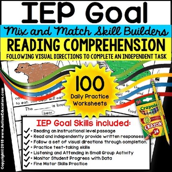 Preview of READING COMPREHENSION IEP Skill Builder FOLLOWING VISUAL DIRECTIONS WORKSHEETS