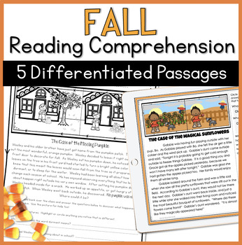 Preview of READING COMPREHENSION PASSAGES FALL READING MYSTERY PASSAGES