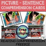 FREE READING COMPREHENSION: PICTURE AND SENTENCE