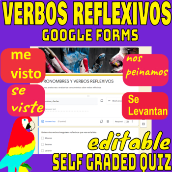 Preview of REFLEXIVE VERBS AND PRONOUNS IN SPANISH-GOOGLE FORM QUIZ