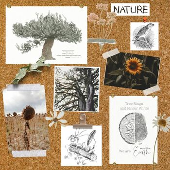Preview of REGGIO INSPIRED nature board posters | NATURE CLASSROOM