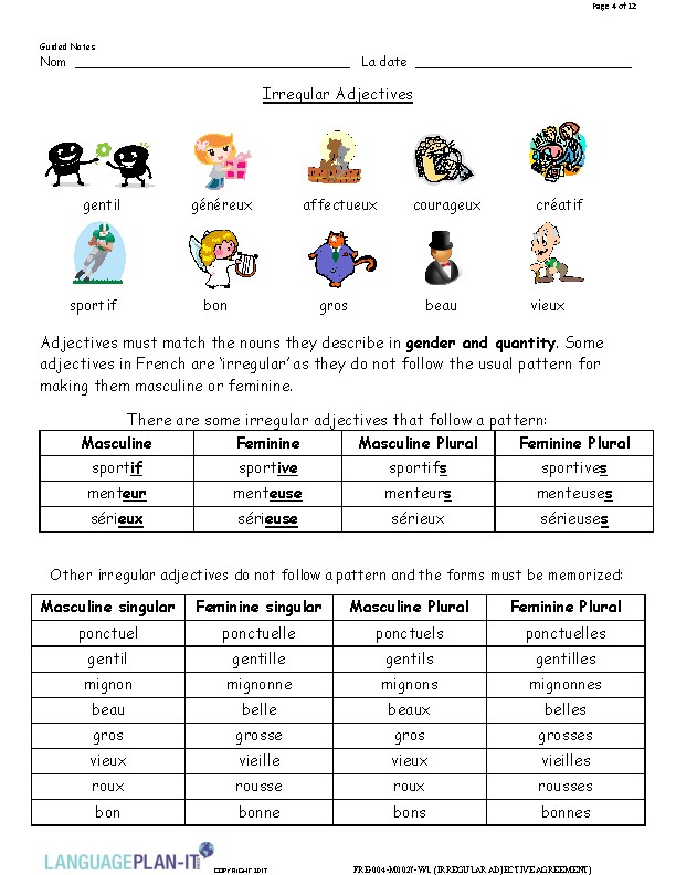 French Noun Adjective Agreement Worksheet