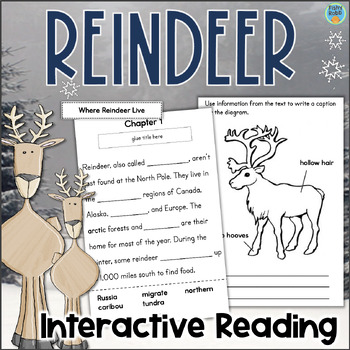 Reindeer Nonfiction Reading Comprehension Main Idea Text Features 