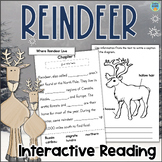 All About REINDEER Reading Comprehension Passage Text Feat