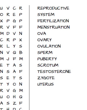 REPRODUCTIVE SYSTEM VOCABULARY (word search) by Orrin Curtis | TpT