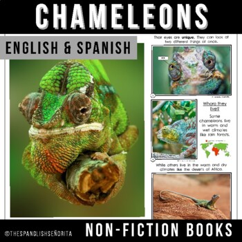 Chameleons - Reptile Non-Fiction Readers (Bilingual: Spanish & English)
