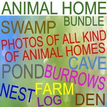 Preview of ANIMAL HOMES BUNDLE