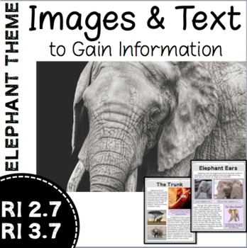 Preview of RI 2.7 & RI 3.7 Elephant Theme Informational Text - Reading & Writing