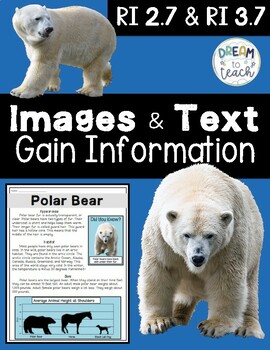 RI 2.7 & RI 3.7 Polar Bear FREEBIE